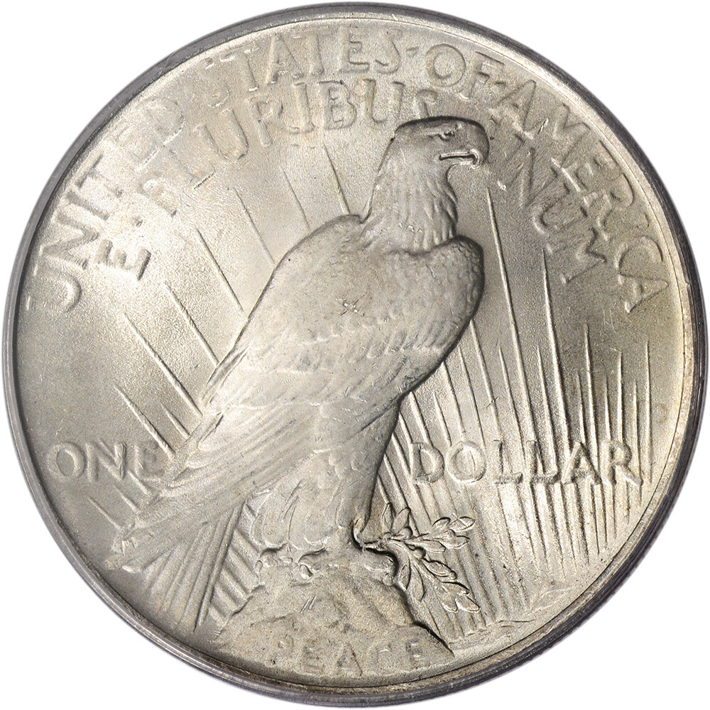 US Peace Silver Dollar - NGC MS64 - Random Date and Label