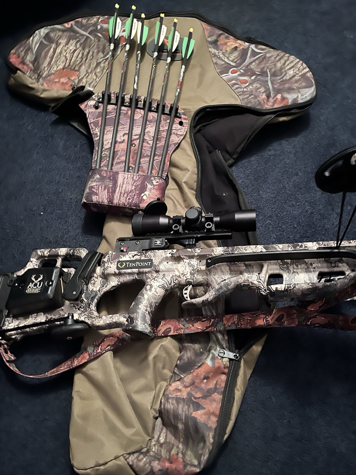 Ten point