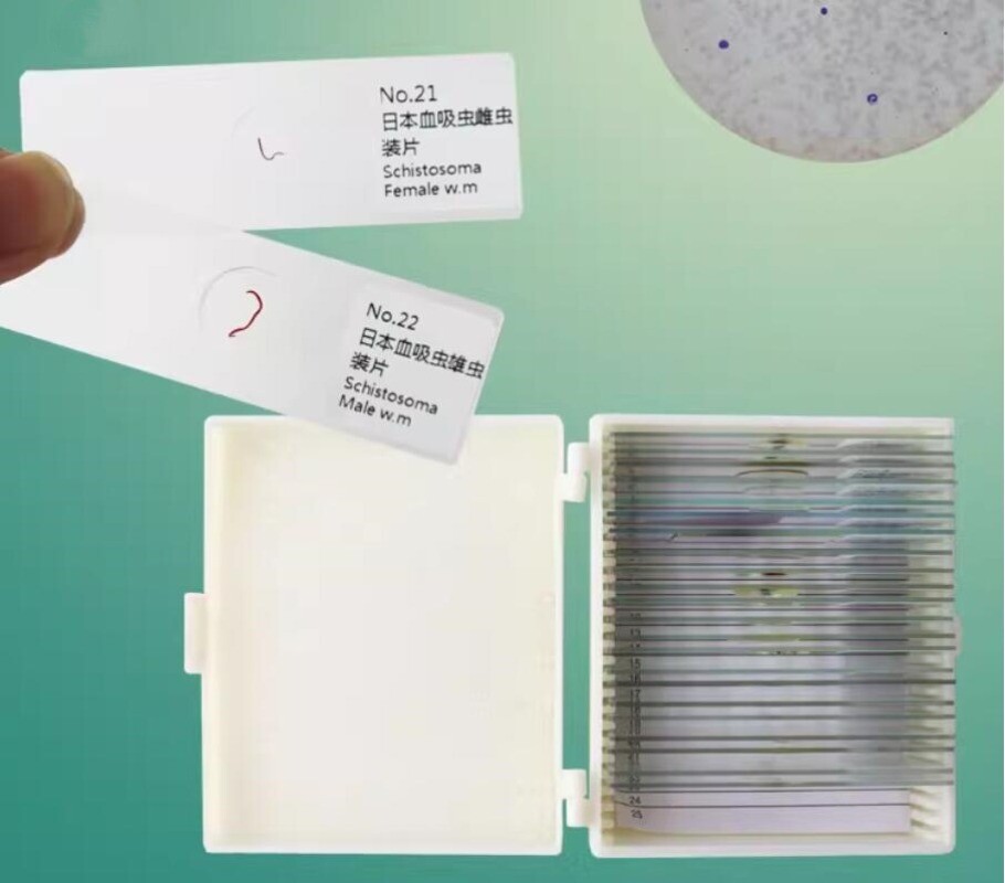 25pcs Parasites Microscope Specimen Slides for Parasitology Teaching Research