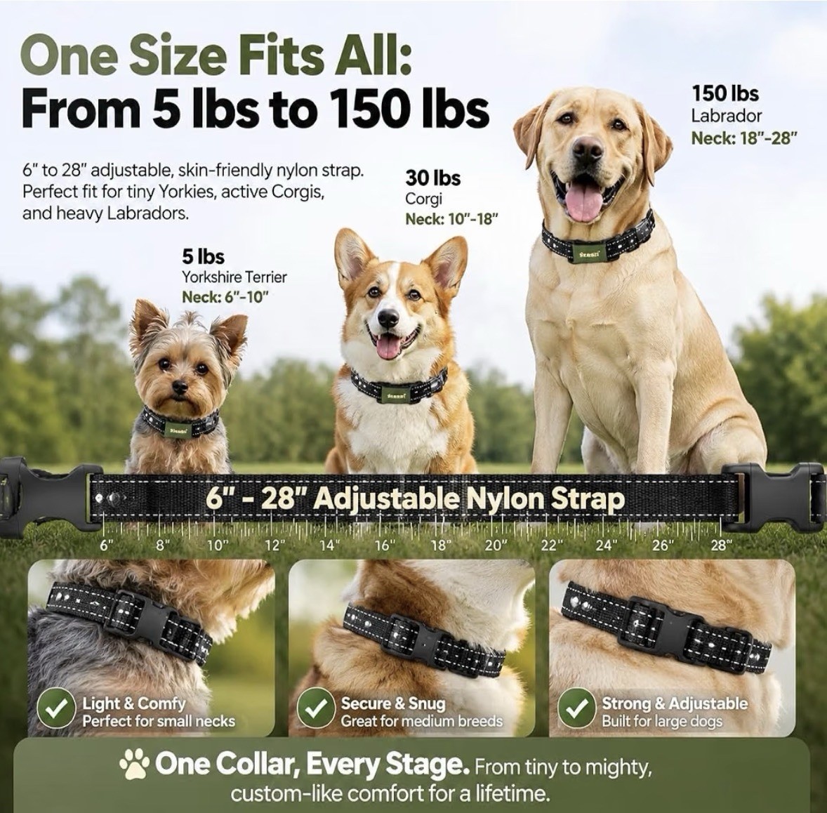 Skasii Dog Training Collar Remote 4500FT IPX8 Waterproof 5-150lbs New Open Box