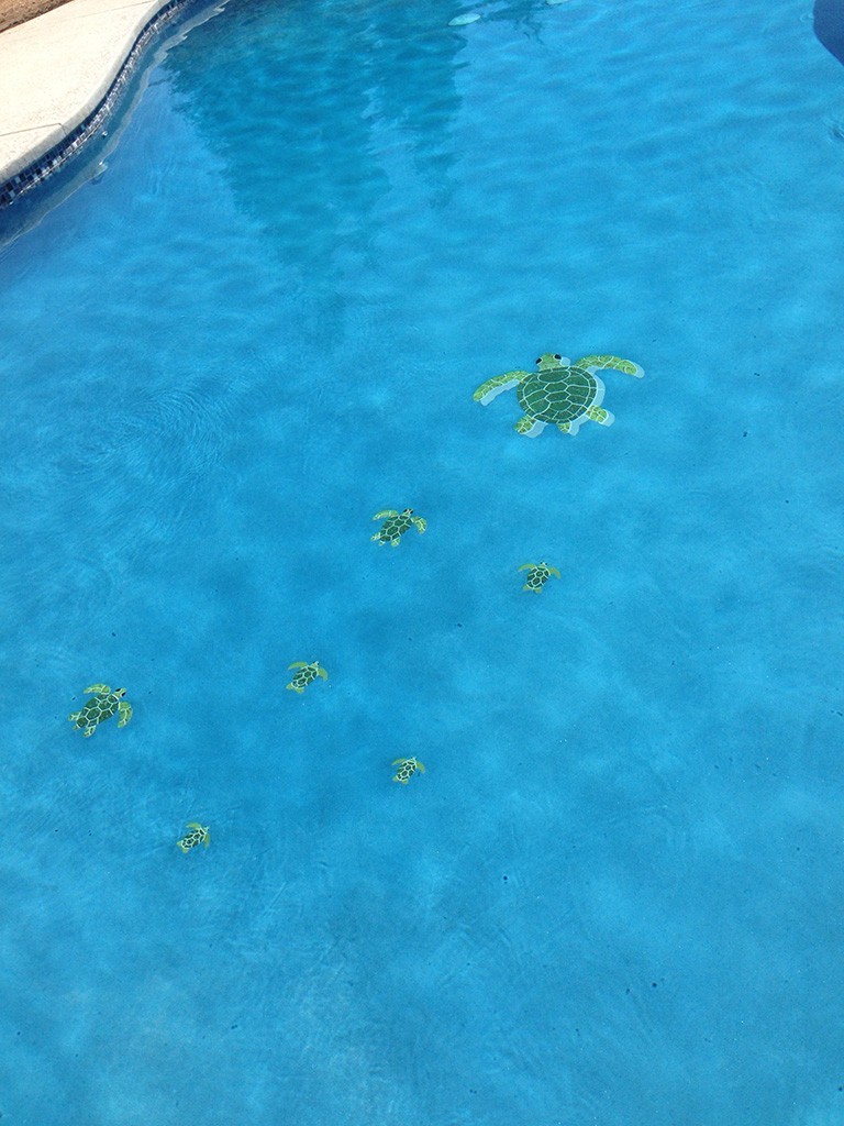 Turtle Group Ceramic Swimming Pool Mosaic
