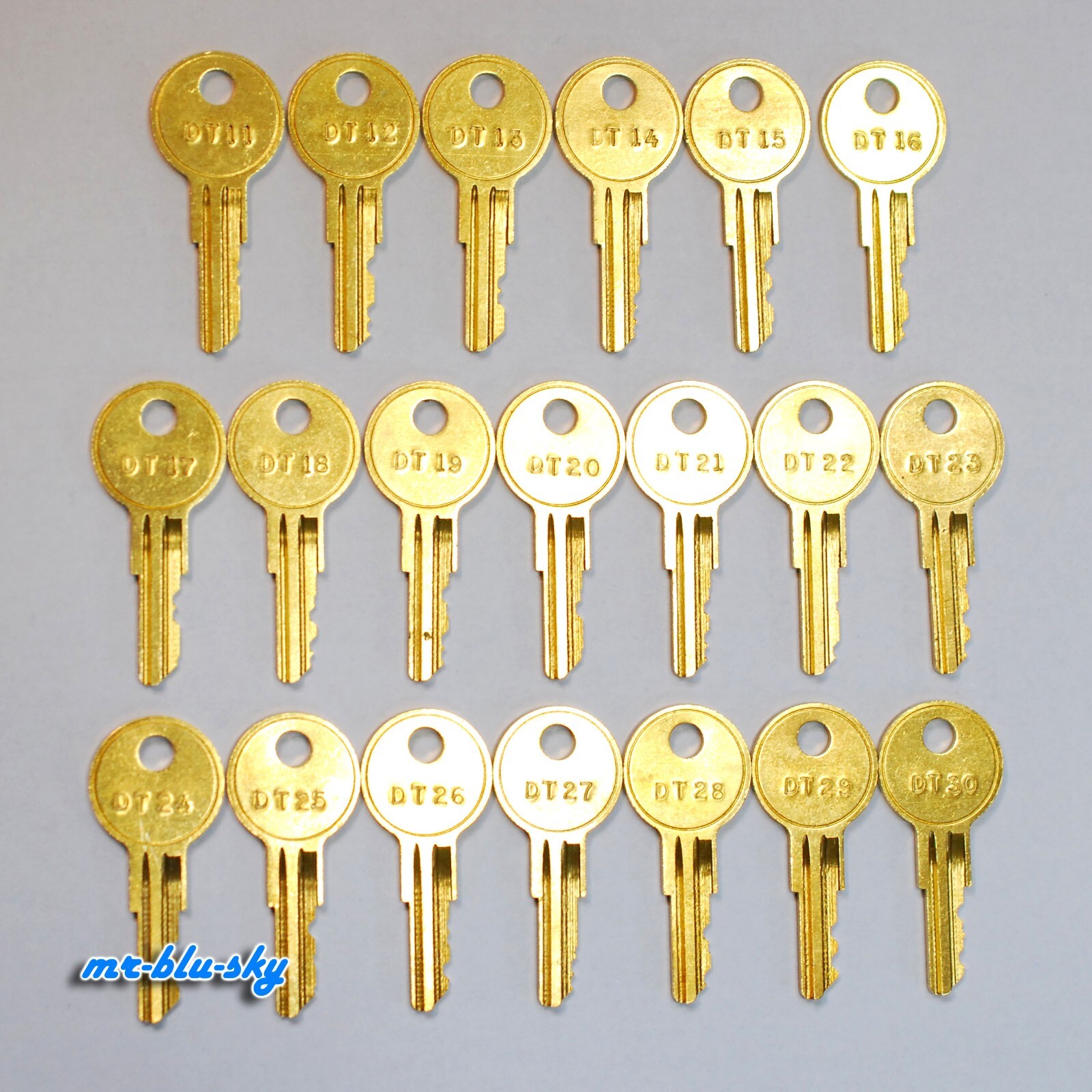 20 Complete Detex Key Set DT11–DT30 – For Alarmed Exit Device Cover Access