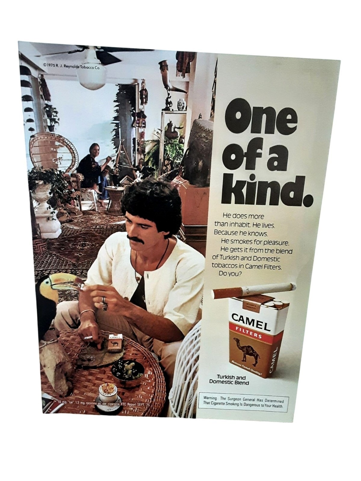 1976 Camel Filters Cigarette Ad One of a Kind Man Toucan