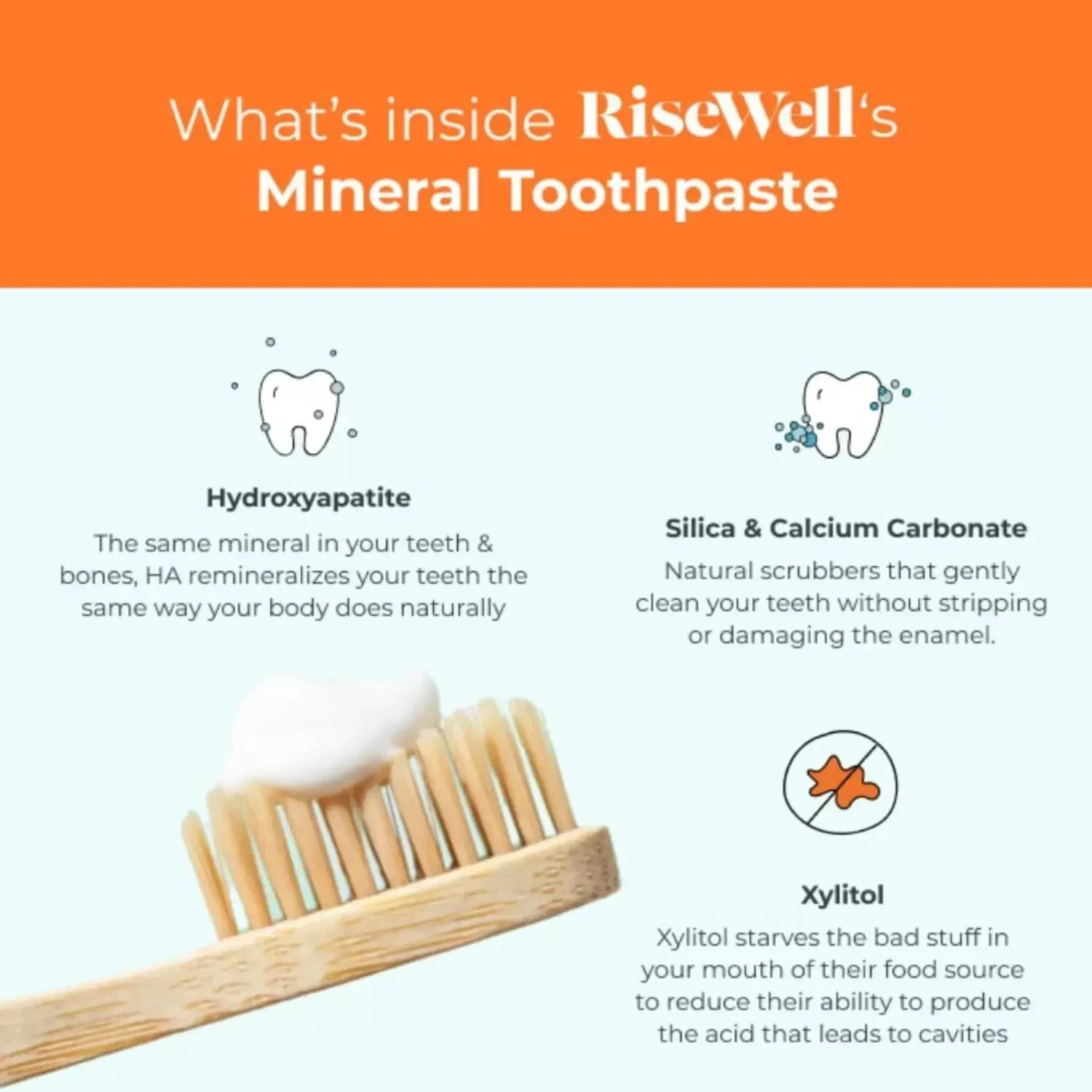 RiseWell Mineral ToothPaste - Natural Hydroxyapatite Toothpaste - Wild Mint 4 Oz