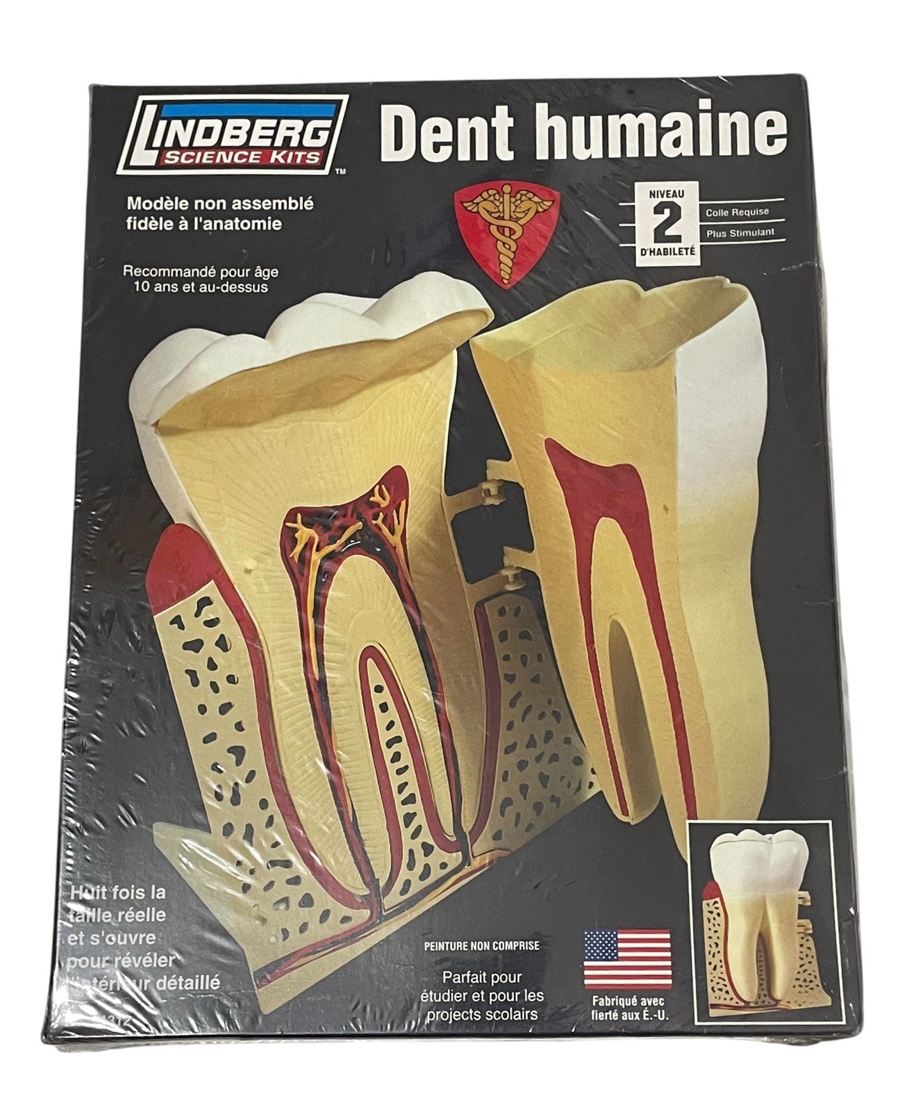 Lindberg Science Kits Model Kit No. 71312 HUMAN TOOTH Sealed NIB CIB