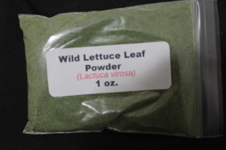 1 oz. Wild Lettuce Leaf Powder (Lactuca virosa)