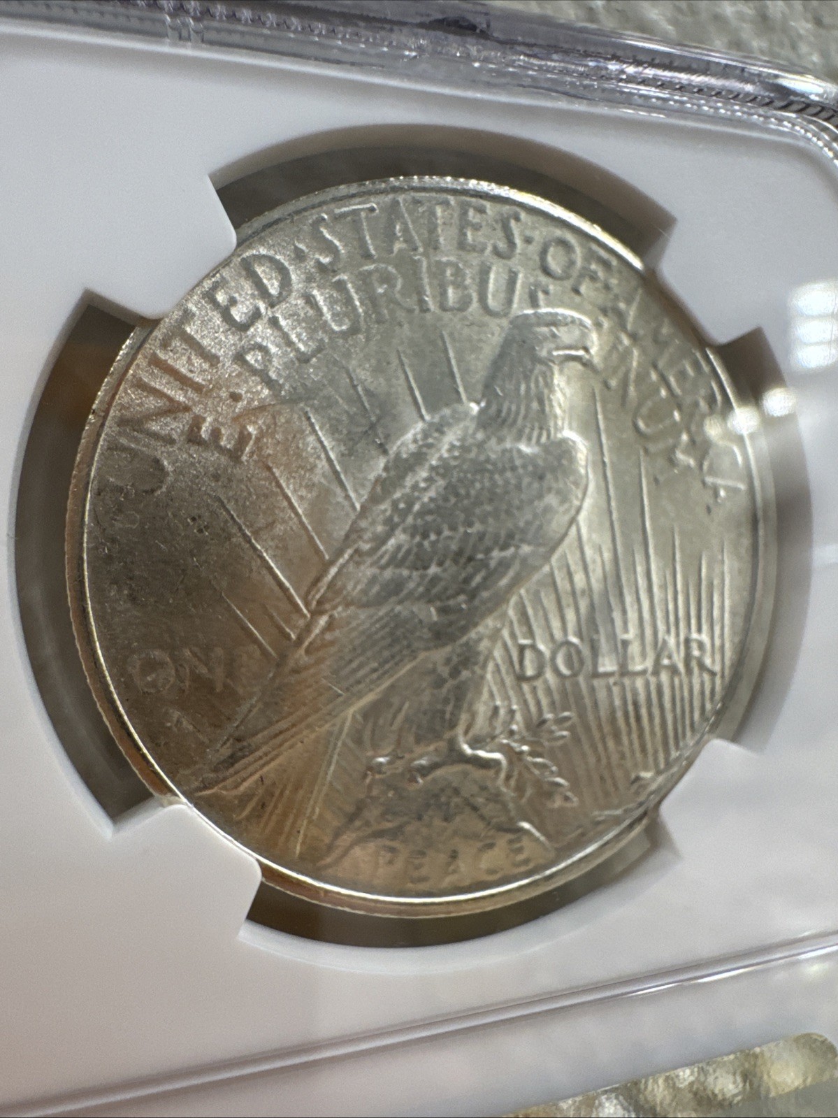 1925 Silver Peace Dollar Brilliant Uncirculated NGC Certified