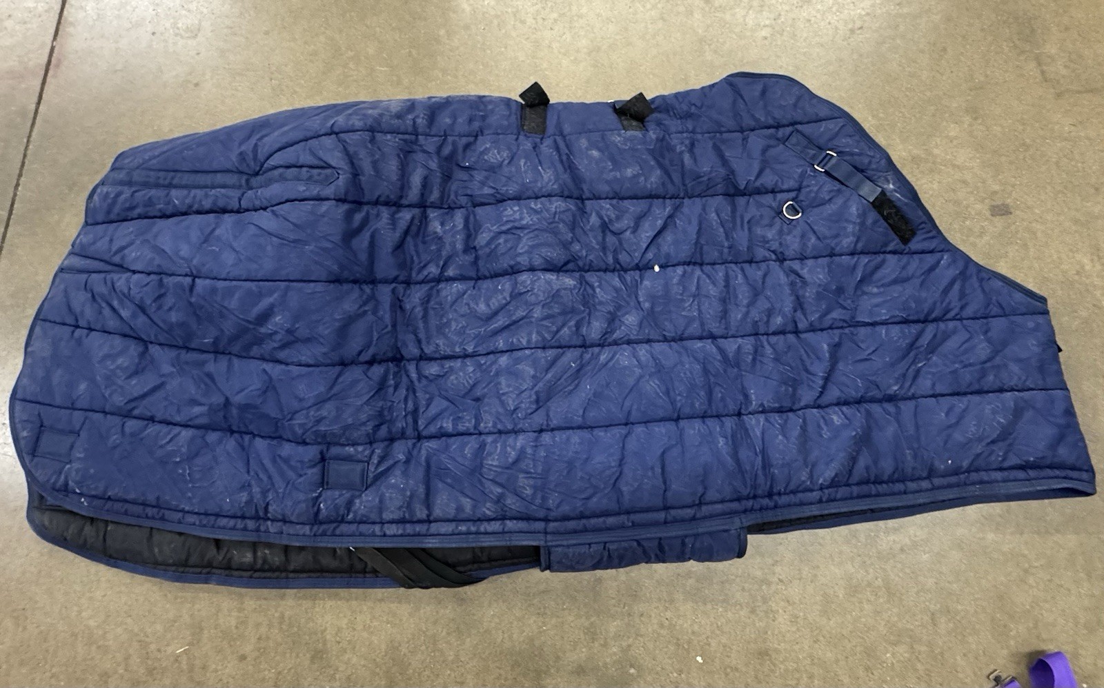 Schneiders Adjusta-Fit Medium Weight Stable Blanket Bellyband Blue 82”