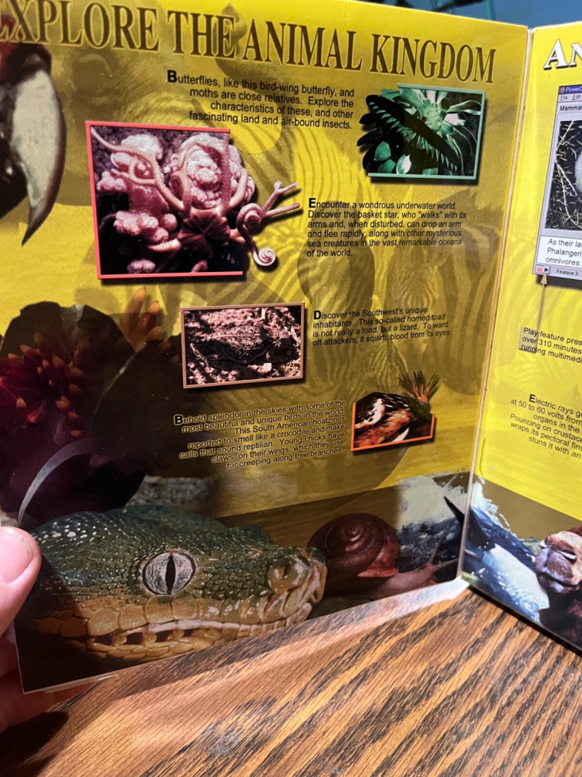 Win/mac Animal Kingdom- 8 cd Roms