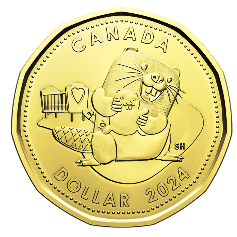 🇨🇦 Canada BABY Born $1 Dollar Coin Loonie, Welcome to the World, 2024