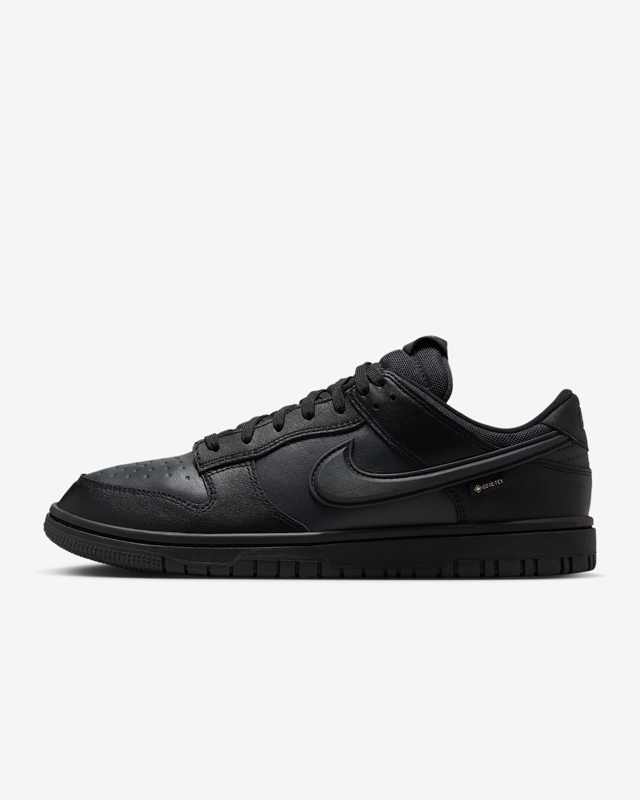 Nike Dunk Low GORE-TEX Black/Anthracite HQ2053-001 Men's Size