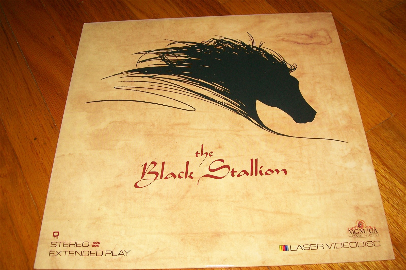 THE BLACK STALLION Laserdisc LD EXCELLENT VERY RARE GREAT FILM CARROLL BALLARD