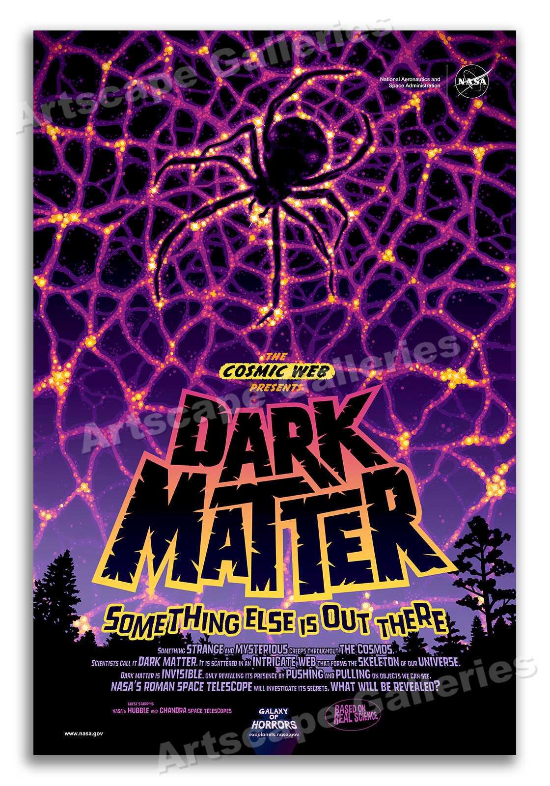 Dark Matter!  Something Else is Out There! NASA Movie Style Poster - 16x24
