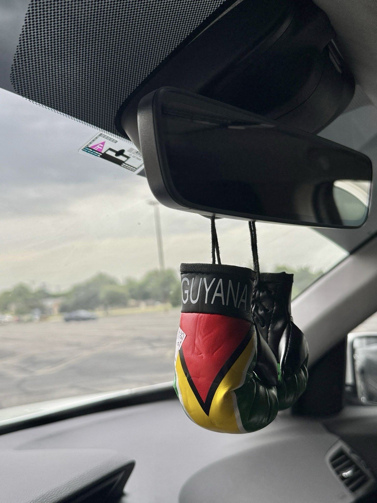 Guyana Mini Boxing Gloves Car Rearview Mirror Hanging Decor Guyanese Flag Charm