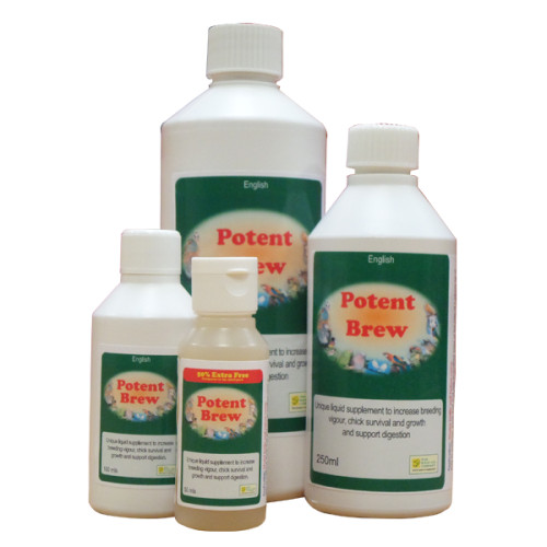 SALE: POTENT BREW LIQUID SUPPLEMENT FOR BIRDS 50ML-BIRDCARE CO BBD 31.07.26