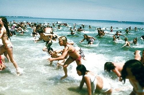 Jaws
