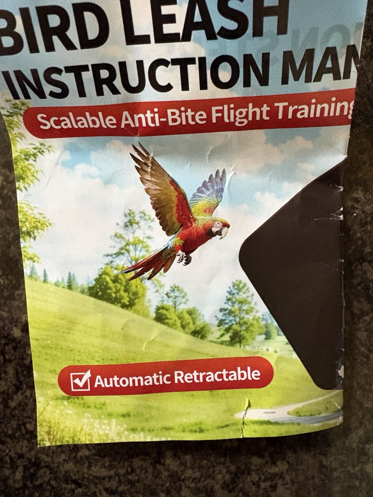 Bird Leash