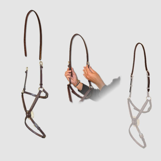 Dion Head Strap