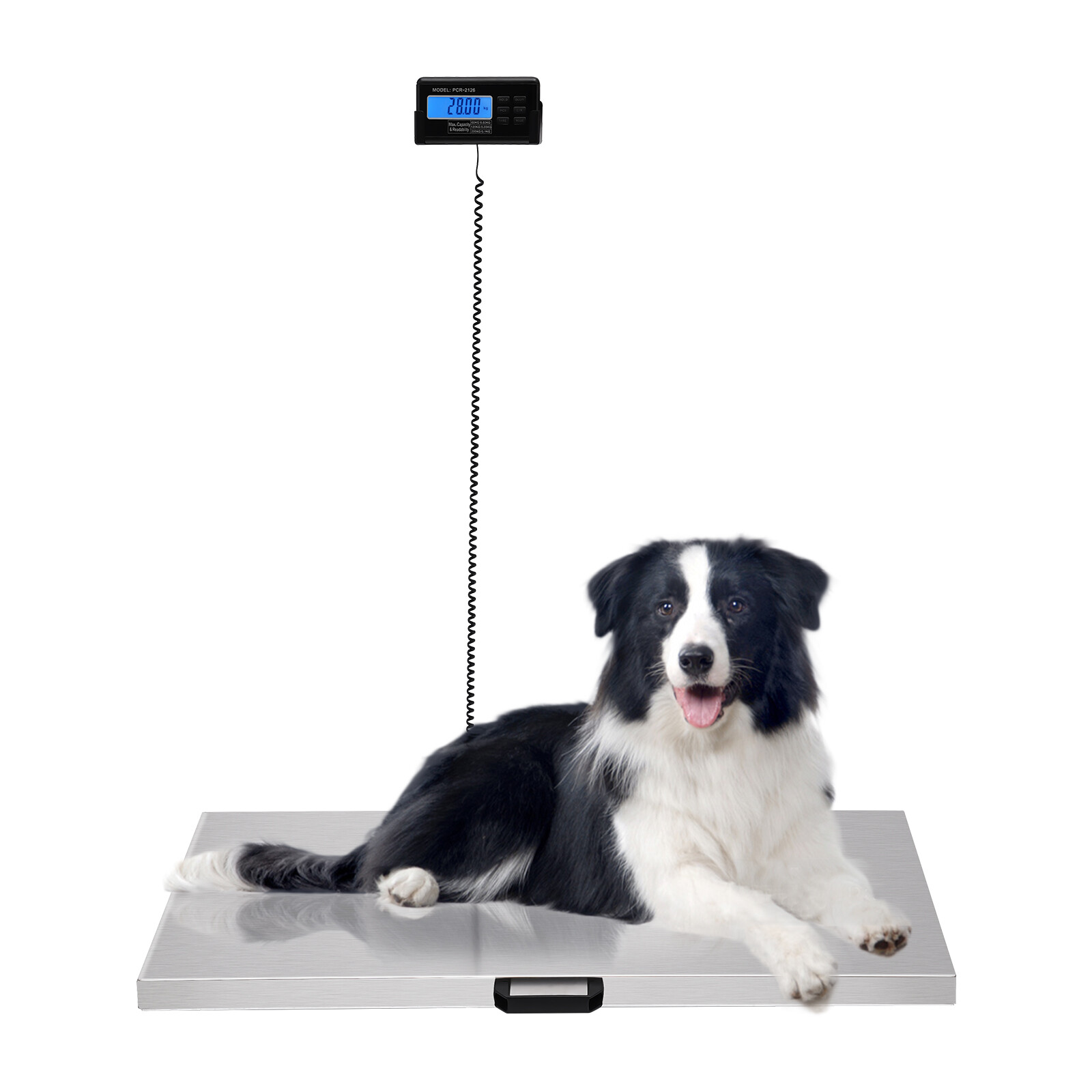 440lb Digital Stainless Livestock Vet Platform Scale Hog Dog Pig Sheep Pet Scale