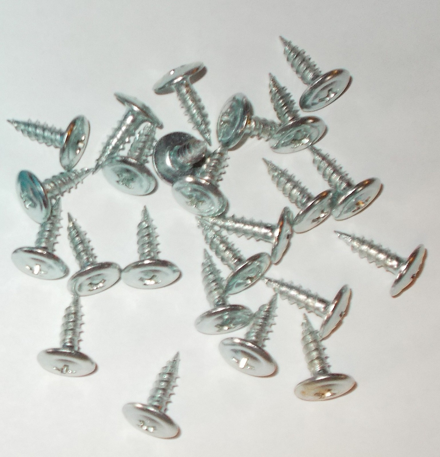 LAWN CHAIR WEBBING SCREWS - 30 pc