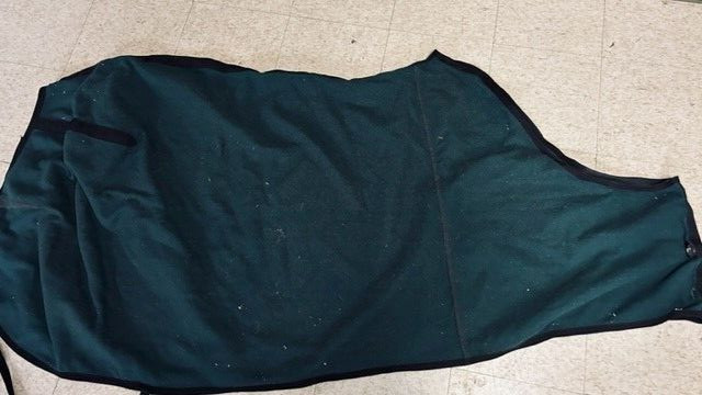 Blanket LINER Horse Size 79"-80" Large Green w/ Black Trim Polyester VGC