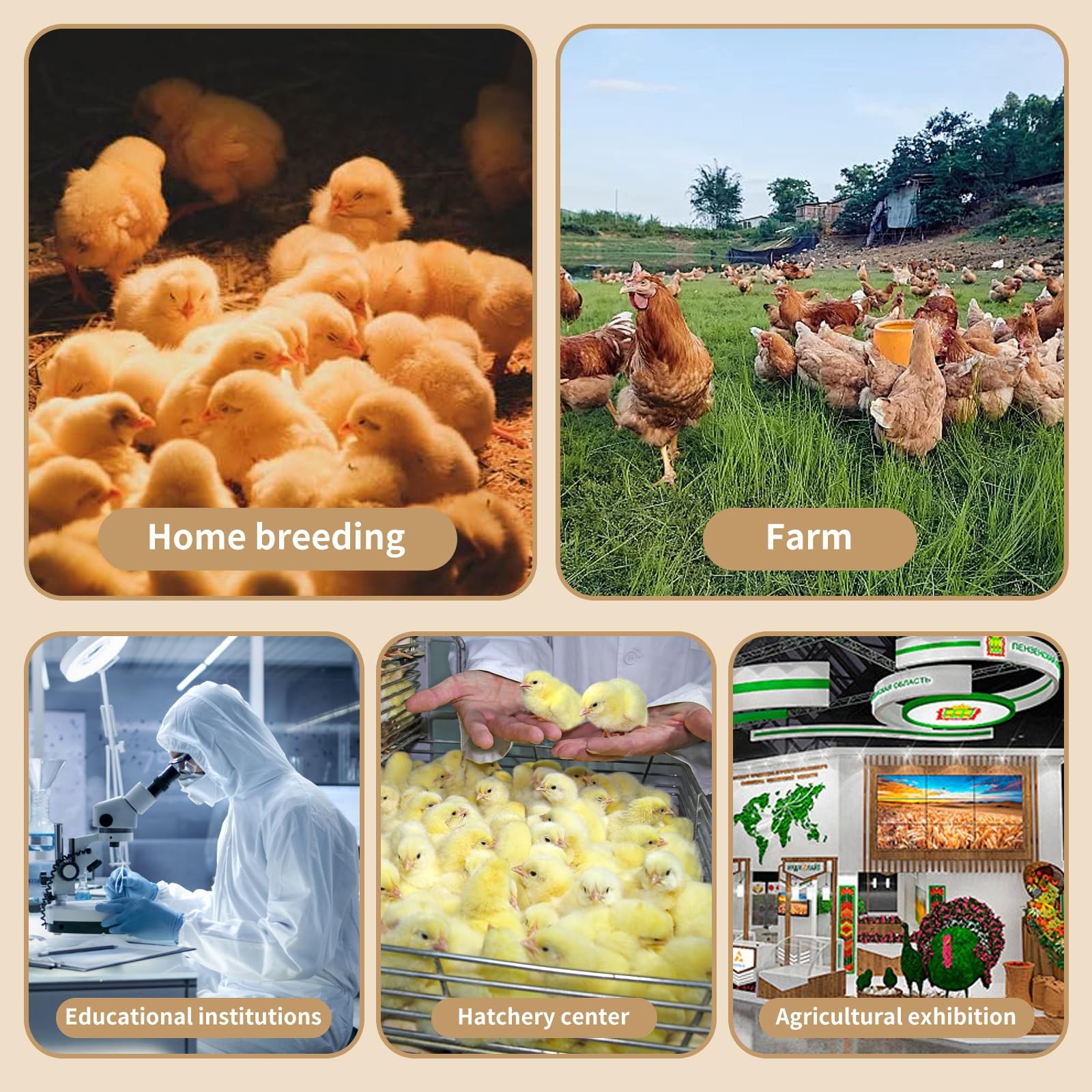 22-Piece Large Chicken Brooder Box 32", All-in-One Kit, Up to 35 Chicks Capac...