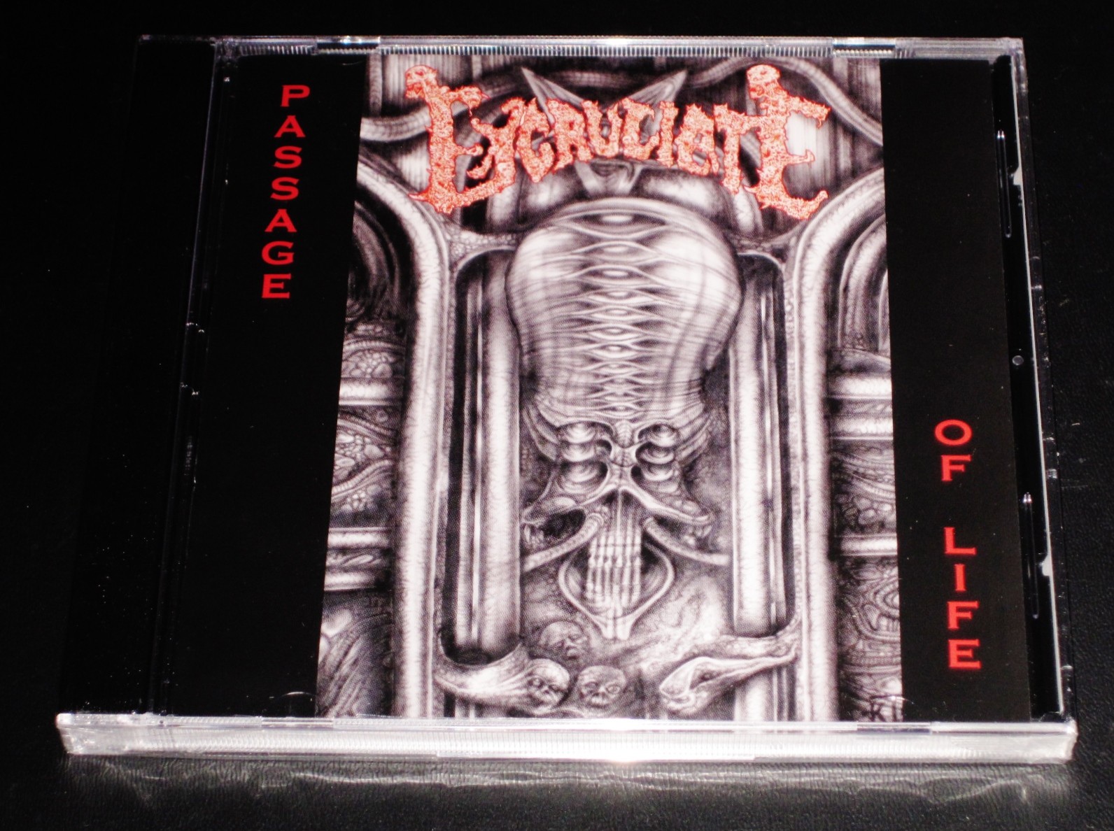 Excruciate: Passage Of Life - Limited Edition CD 2019 Dark Symphonies USA JC NEW