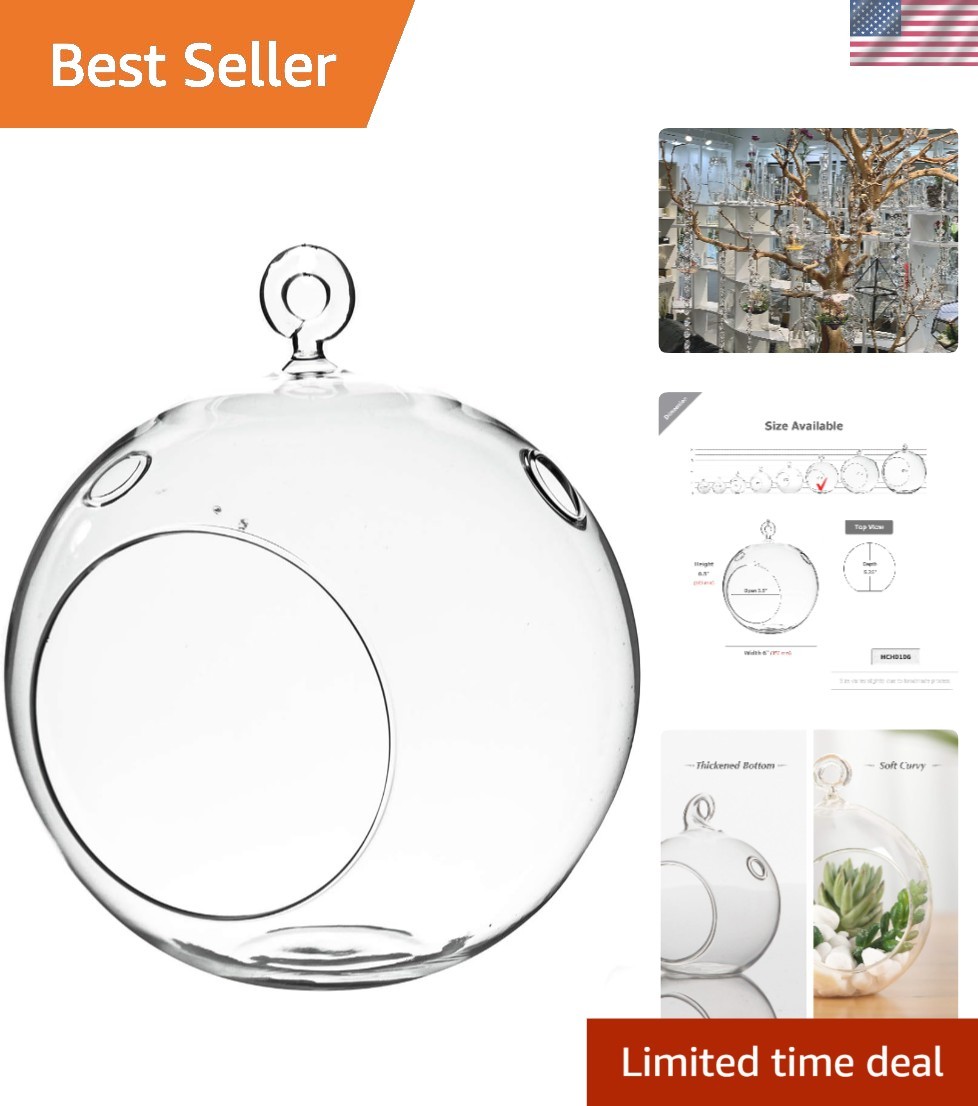 Versatile Clear Glass Terrarium Globe - 6" Air Plant Holder & Candle Display