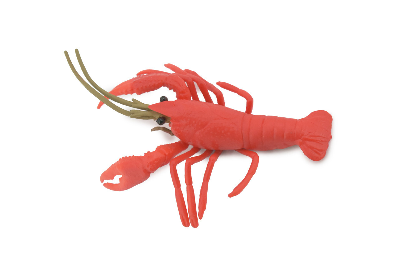 Crayfish, Crawfish, Crawdad, Realistic, Figure, Toy, Kids, Gift, 4" CH578 BB163