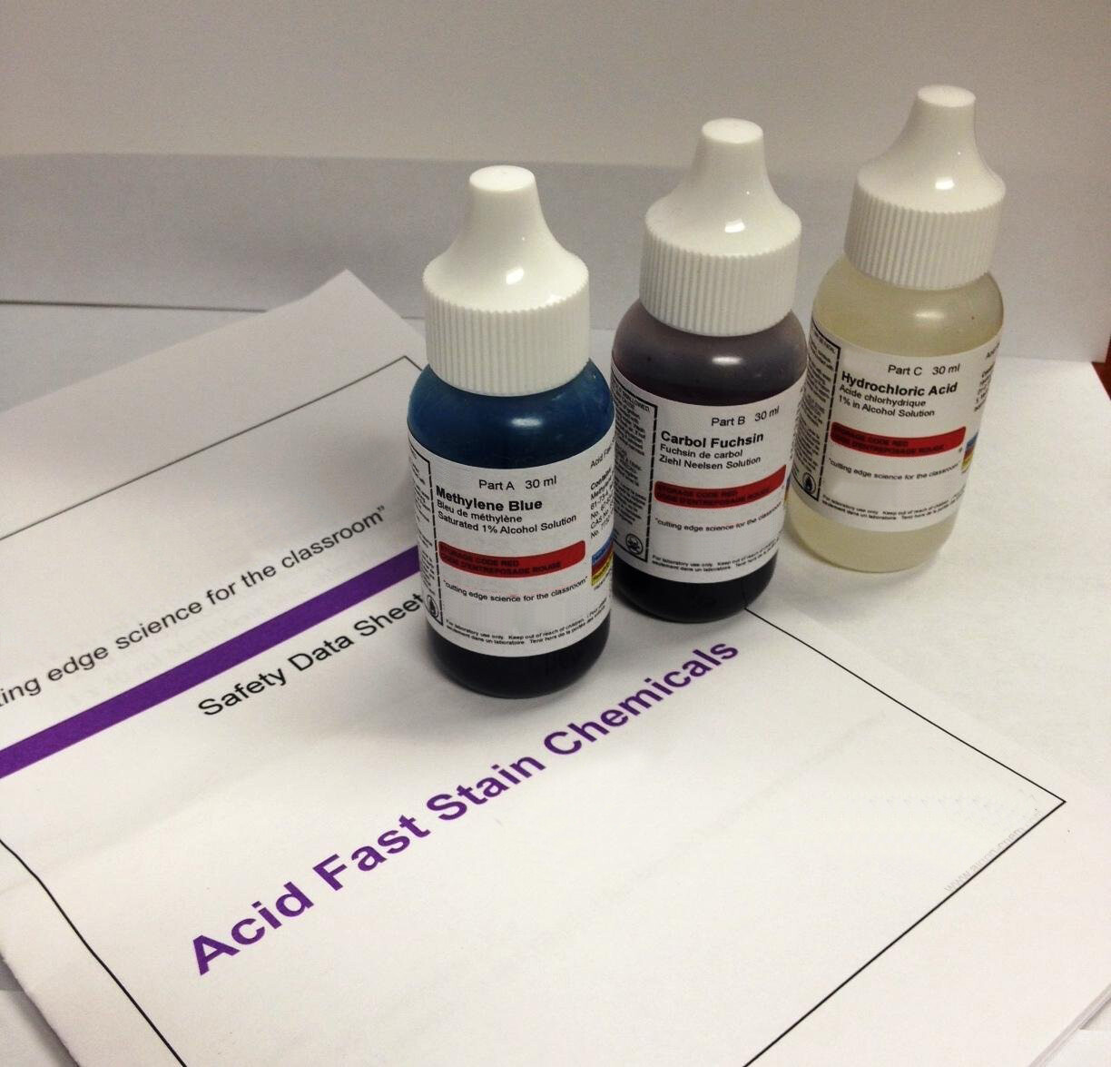 AmScope SK-3 Acid Fast Stain Kit - 3 Stanis 4 Making Microscope Bacteria Slides
