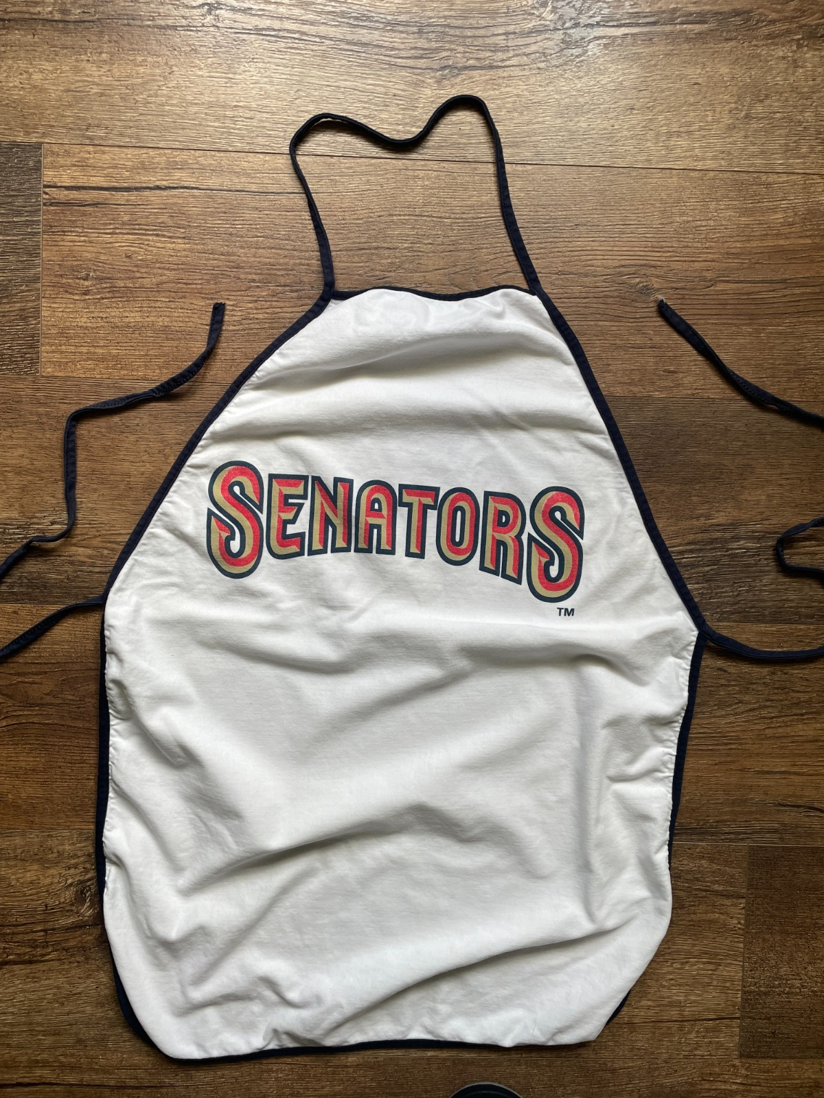 2 Vintage Harrisburg Senators Kitchen Grilling Aprons MILB AA Baseball Giveaway