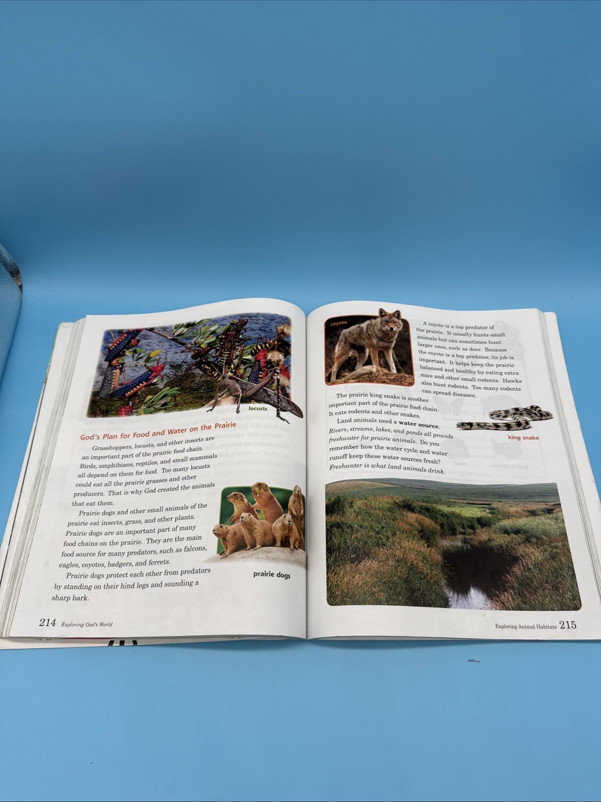 Abeka Exploring God’s World (5th Edition) Student Science WorkText 3rd Grade