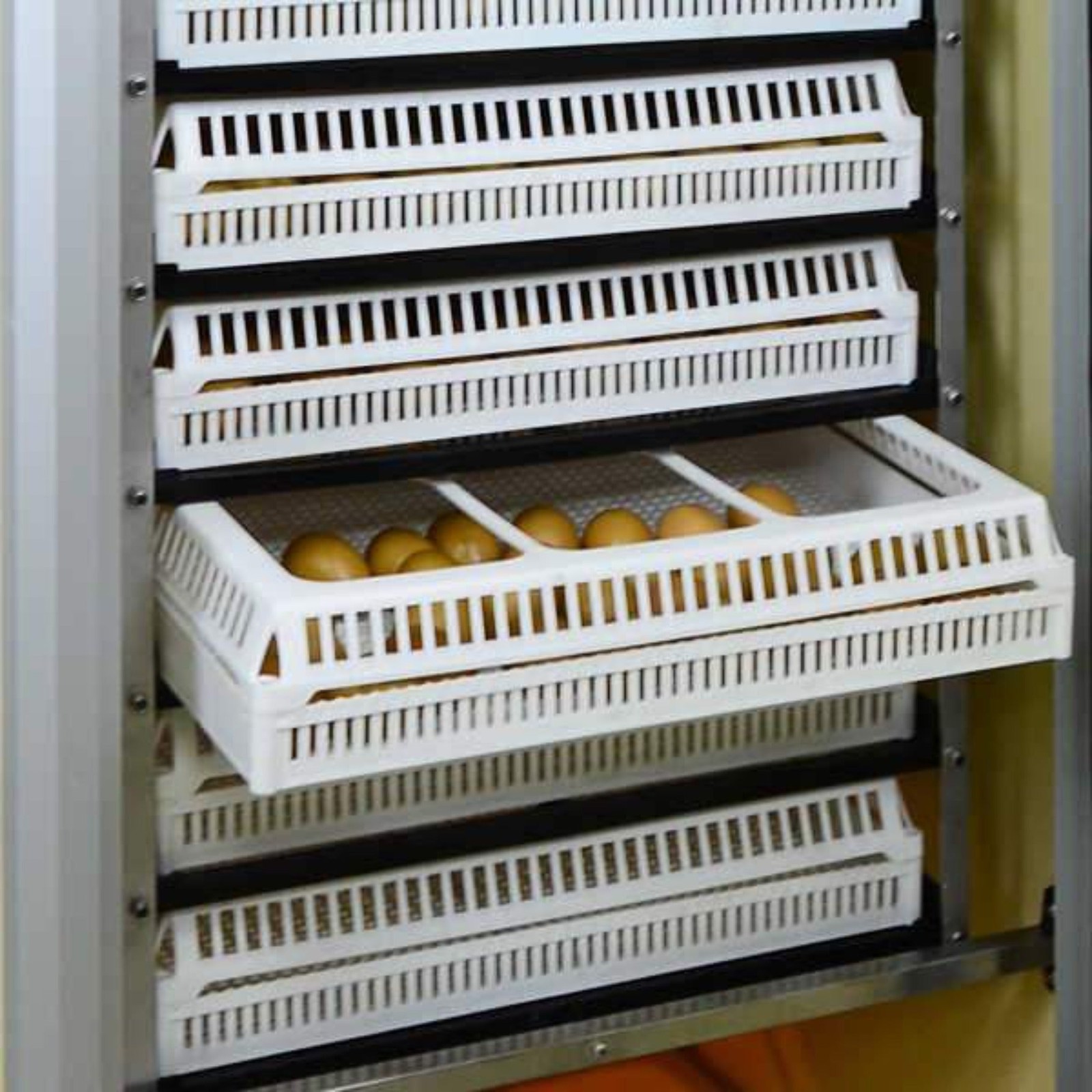 Flexy80 Setter Tray Cover
