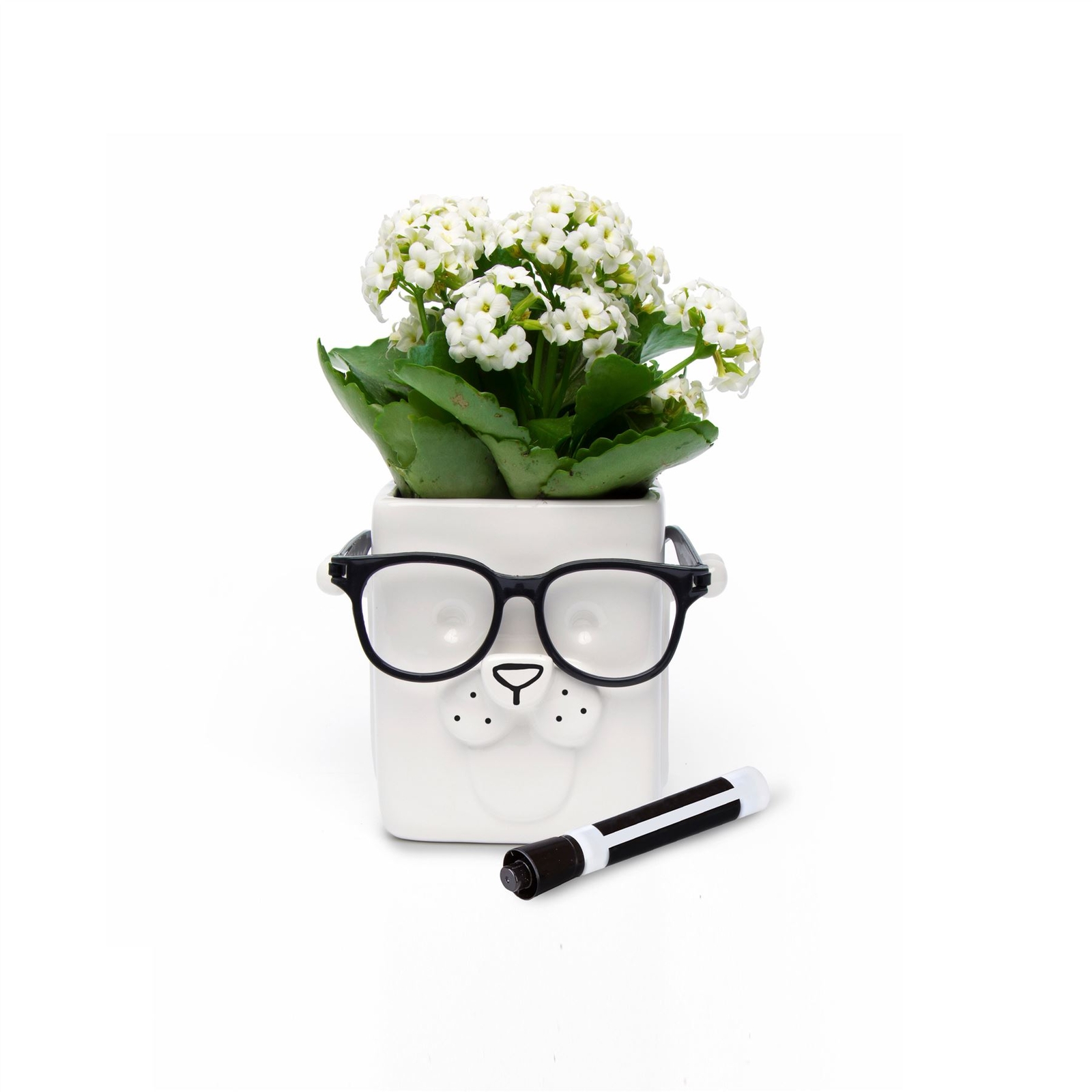 Ceramic Puppy Planter by 30 Watt Glasses Holder Customizable