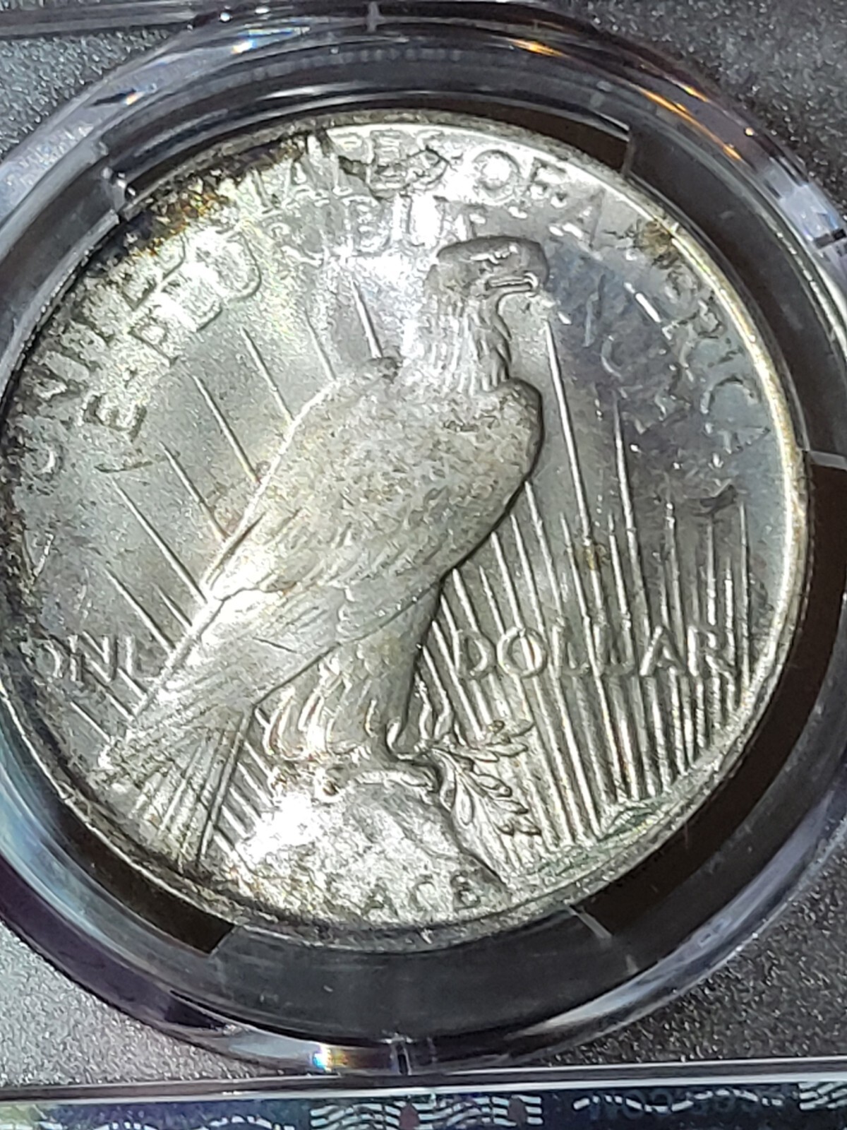 1923 $1 Peace Dollar PCGS MS65 Toned