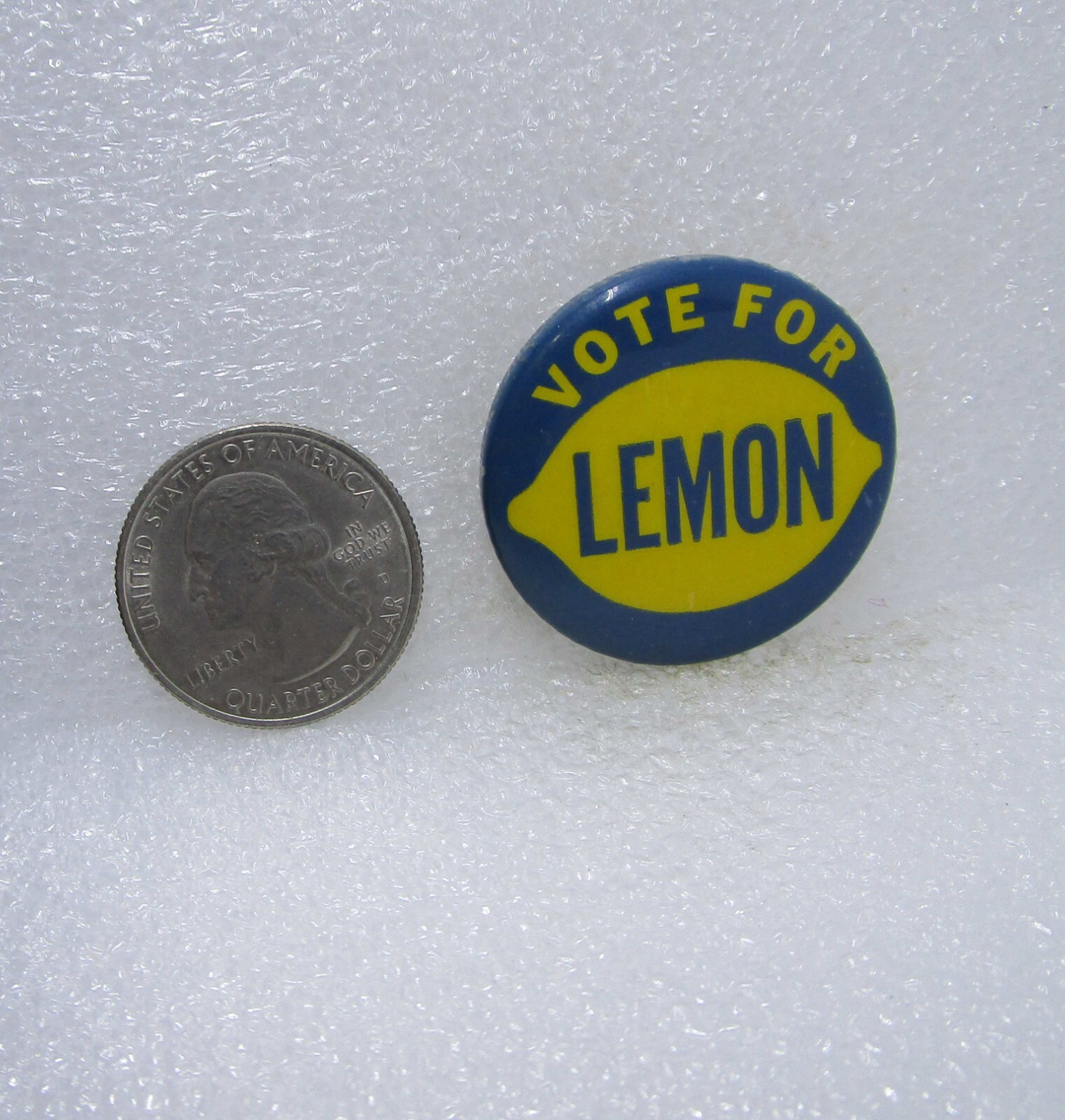 Vote For Lemon Political Button Pin