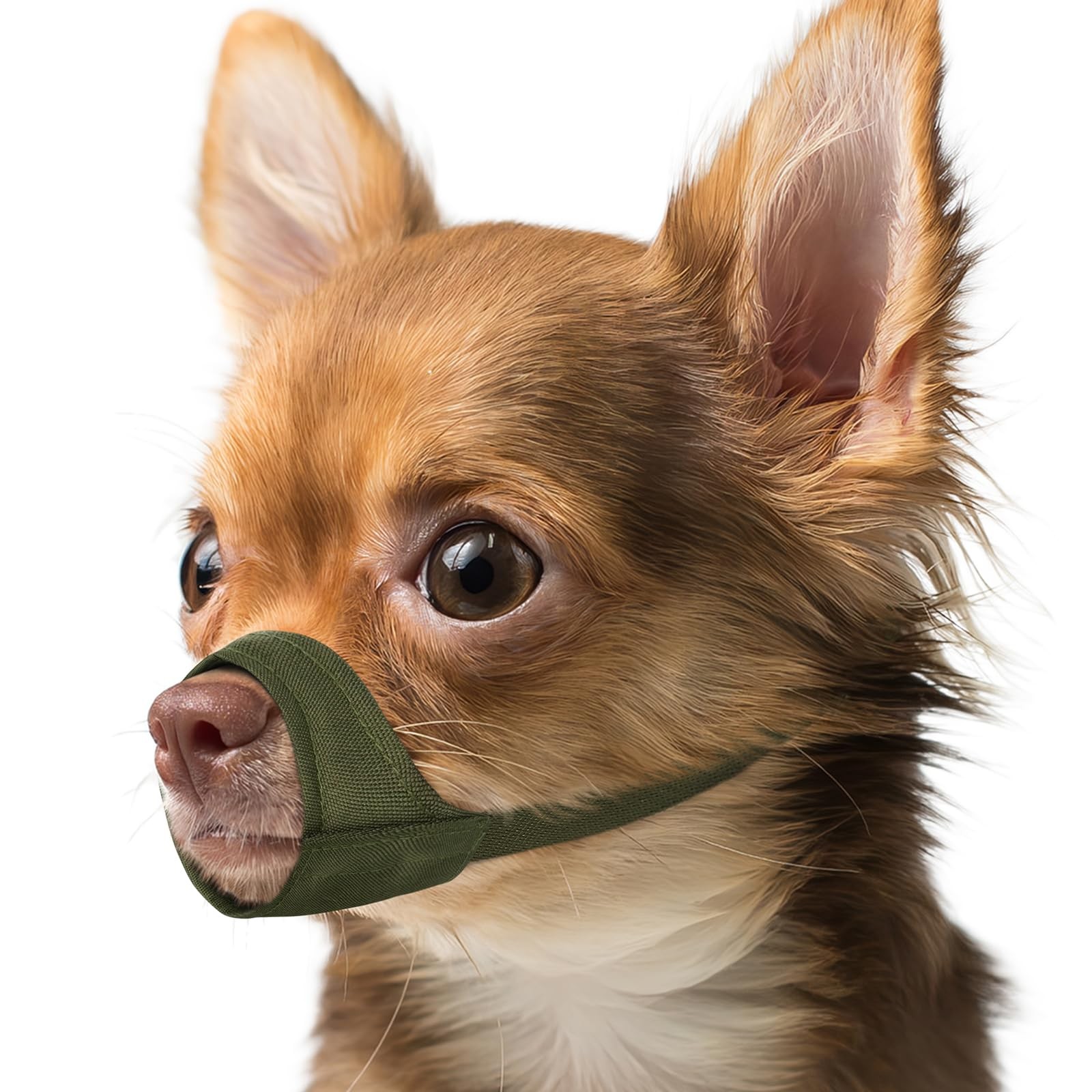 Mayerzon Short Snout Dog Muzzle, Small Muzzle XXS [Snout Cir: 4-5"], Green