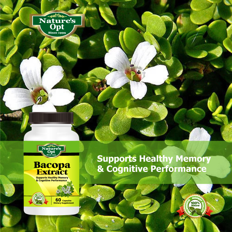 Bacopa Extract, Supports Memory and Cognitive Performance, Mental Focus