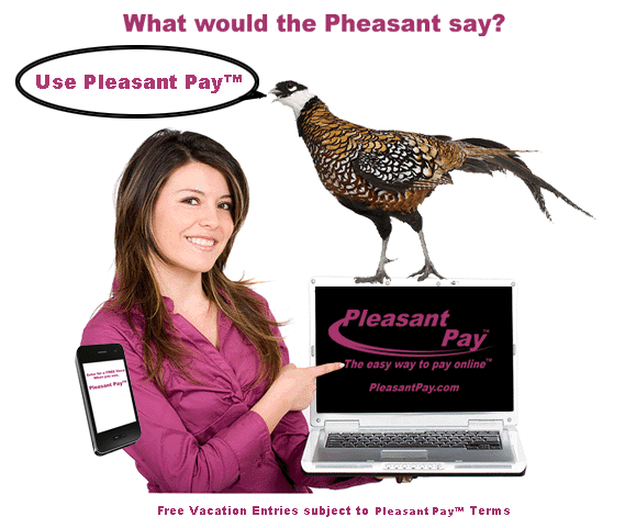 PleasantPay. COM - A PREMIUM DOMAIN NAME