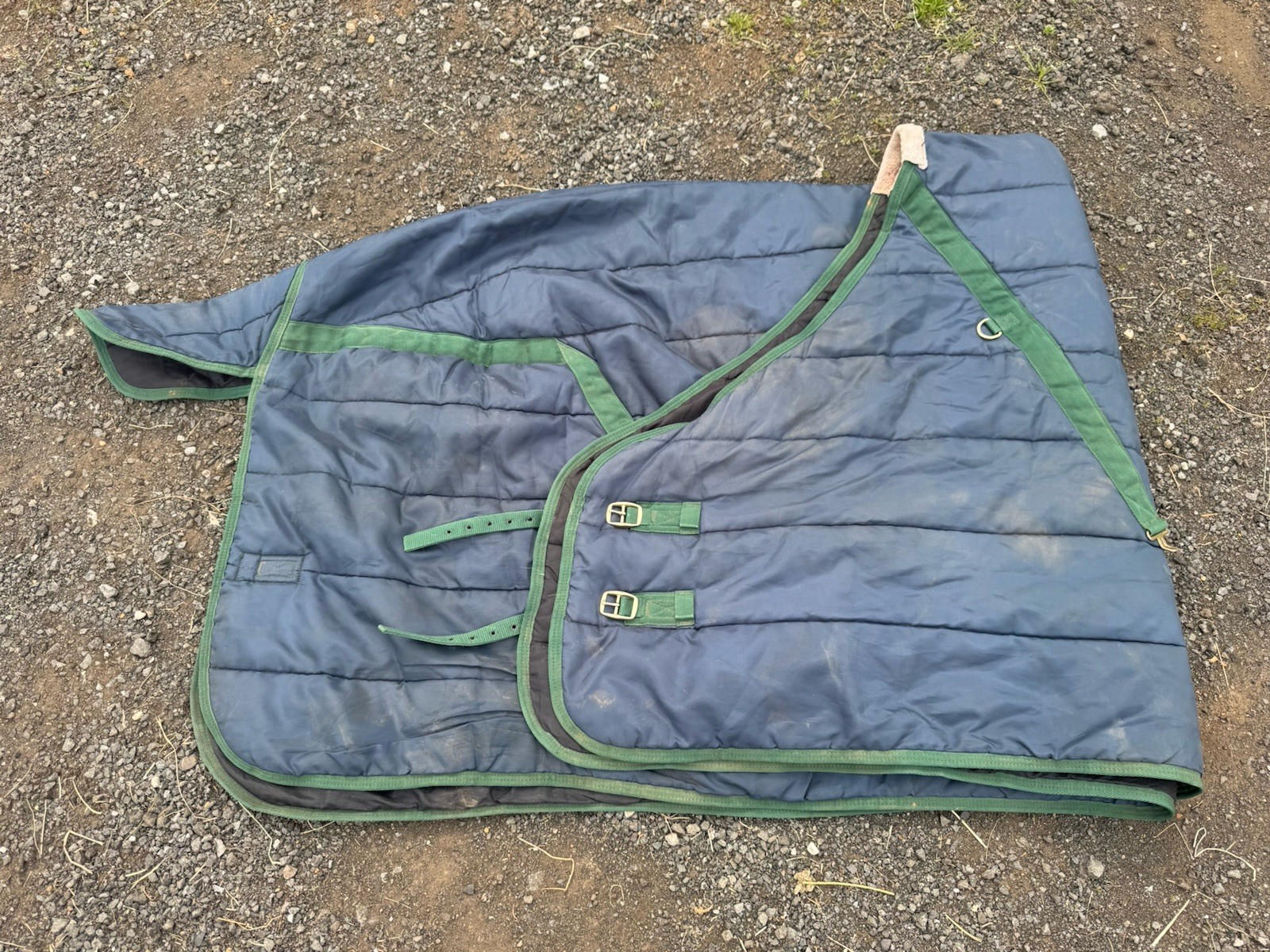 Used 88" Medium Weight Stable Blanket - Navy/Green