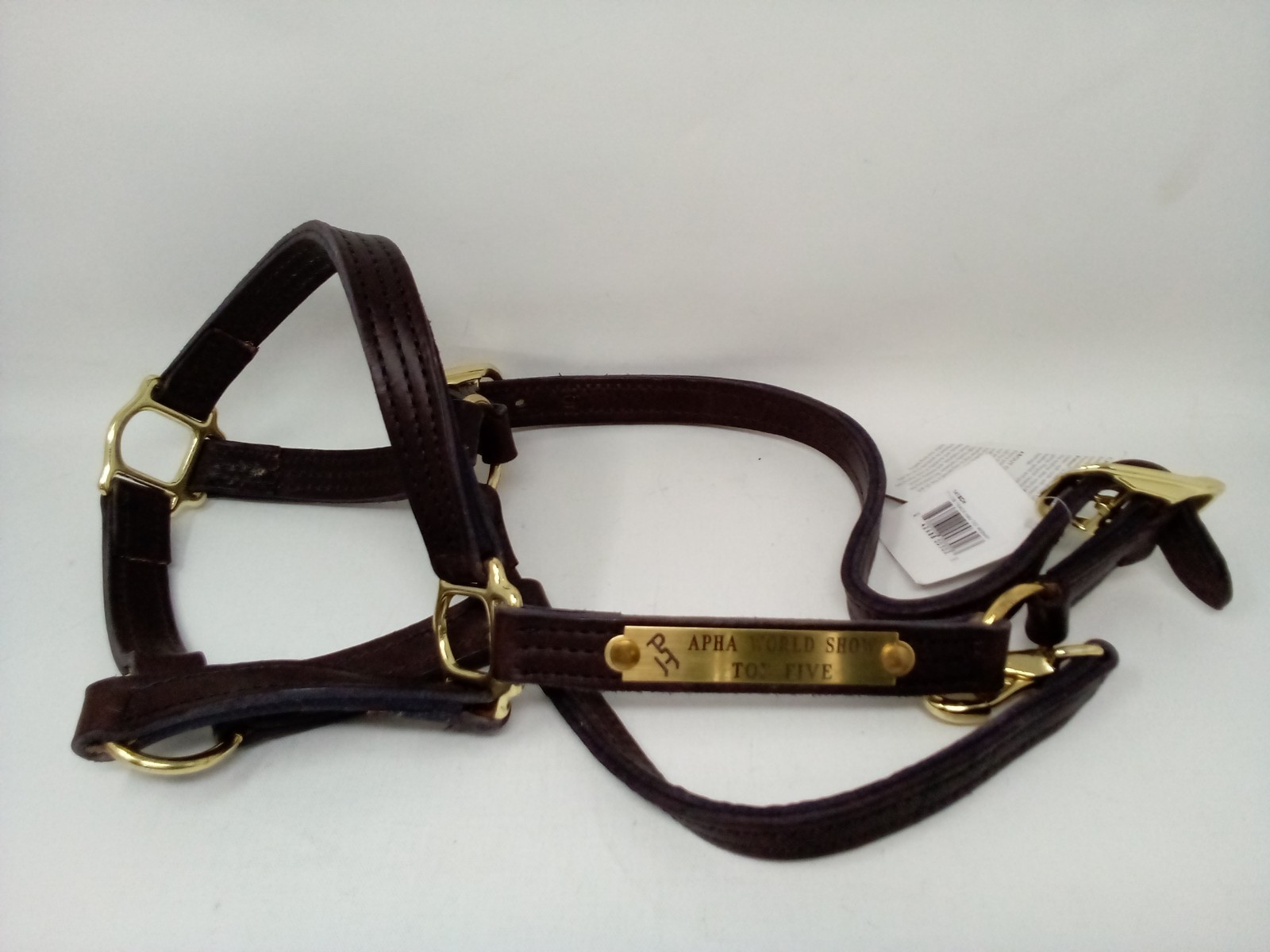 Perris 1" Track T/O Halter with Snap Havanna PH APHA World Show Top Five Plaque