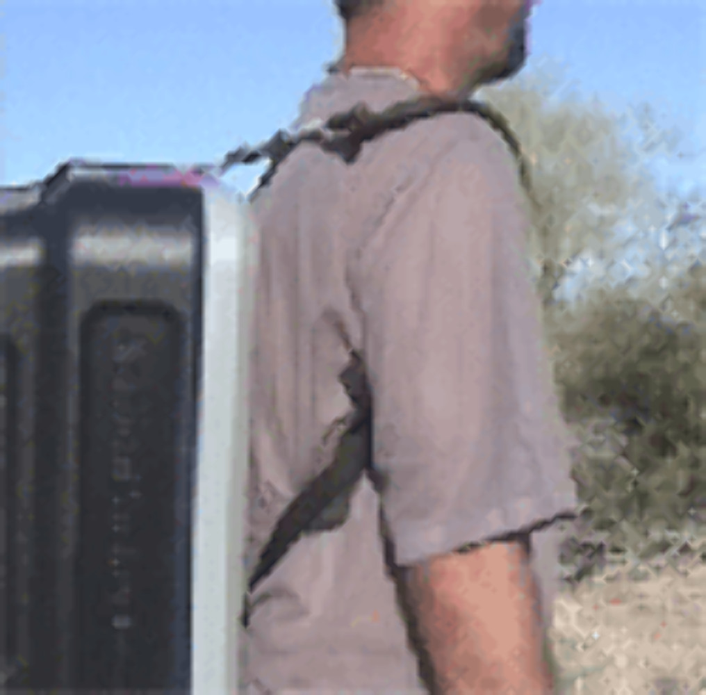 Desert Fox Backpack Harness