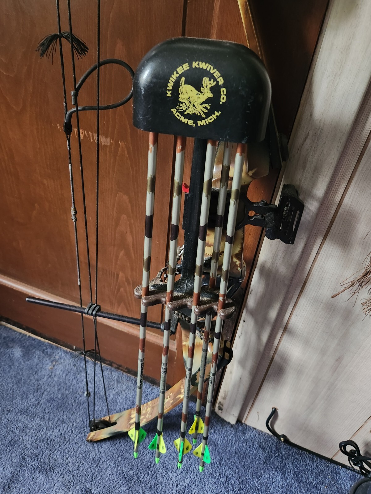darton compound bow