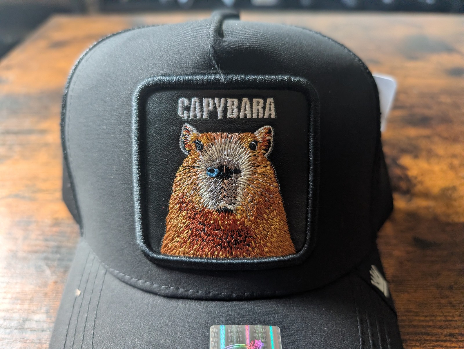 "Capybara" Trucker Hat - Triple Black - Brand New with Tags