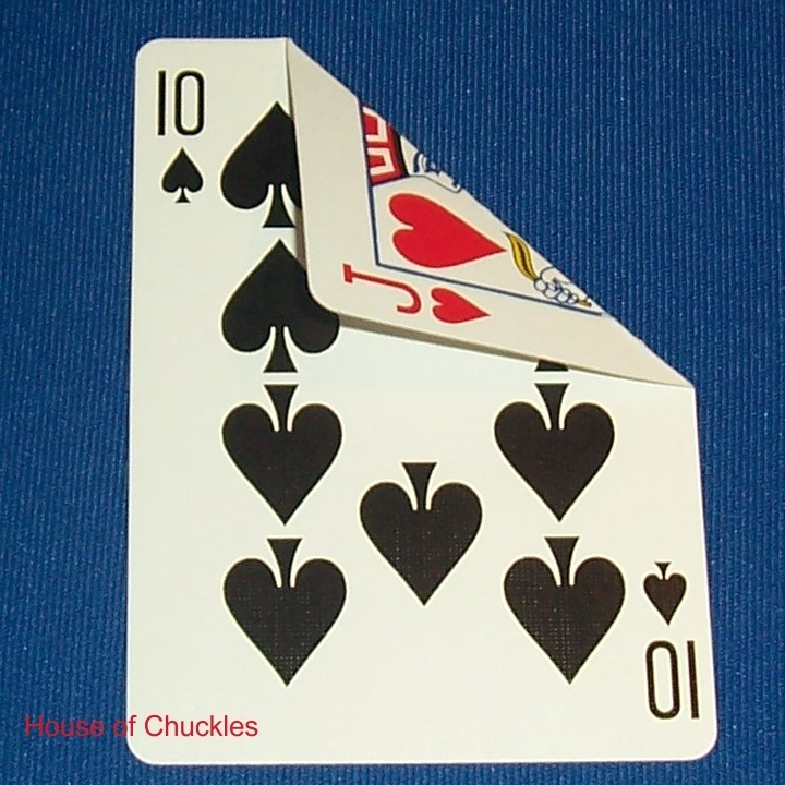 Double Face, Bicycle Playing Card Gaff Deck