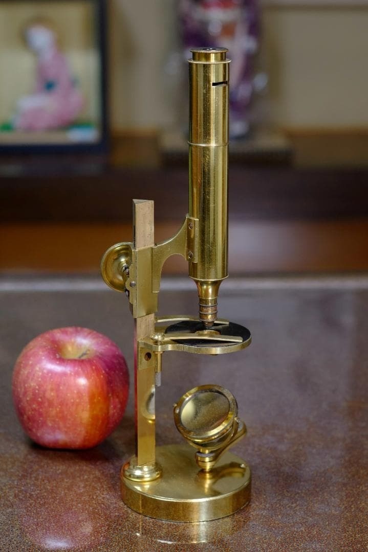 Antique Microscope No. 12: Simon Plössl's "Achromatic" Microscope
