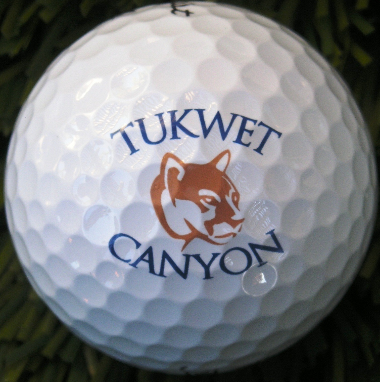 Tukwet Canyon Golf Club Titleist ProV1 logo ball new  #7581