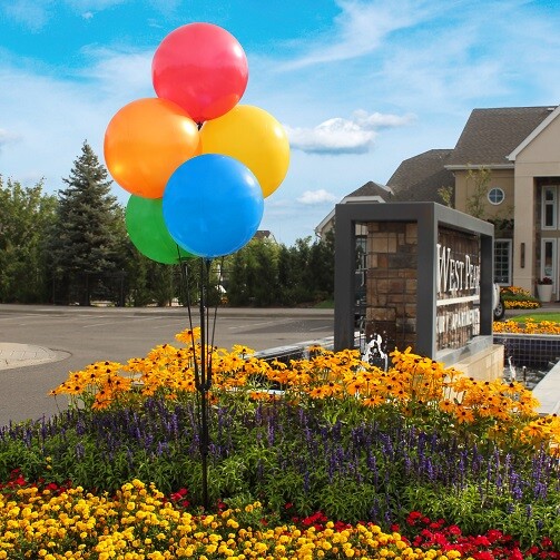 Permanent Outdoor Reusable Vinyl Balloons - 5 Balloon Kit - Free Shipping