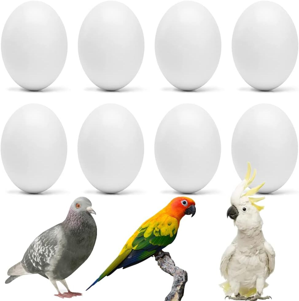 8Pcs Solid Plastic Parrot Fake Eggs, Keeping Them from Laying Anymore Eggs, Suit