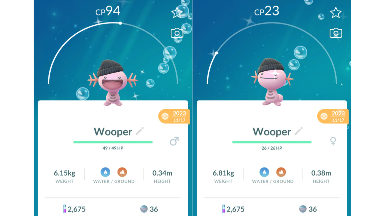 ✨Shiny Wooper (Dazzling Felino) Fashionable Beanie Pokemon GO✨ Registered Only
